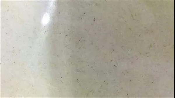 教你选瓷砖