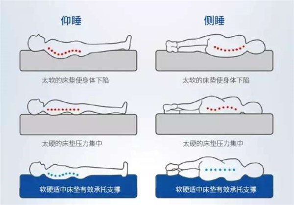 床具选购小技巧