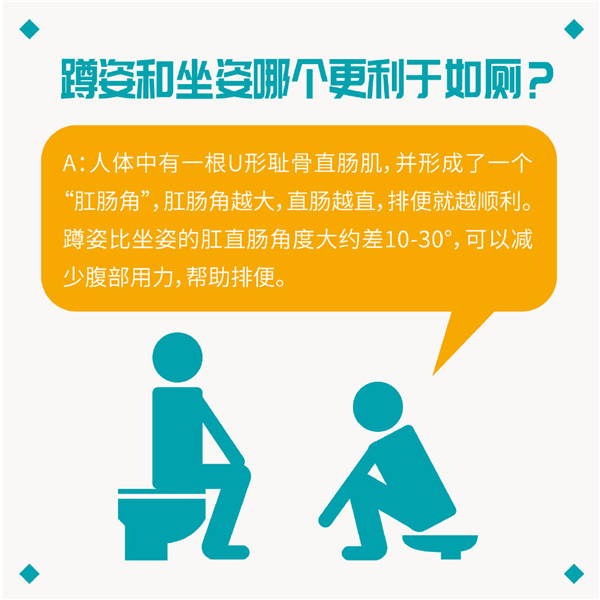 卫生间马桶和蹲坑.jpg