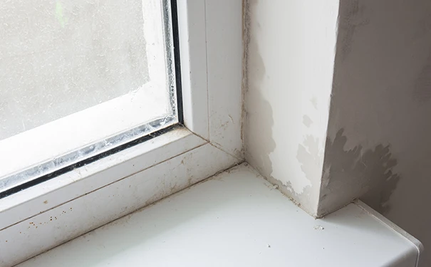 窗户和墙连接处渗水怎么处理(窗户和墙连接处渗水解决方法)